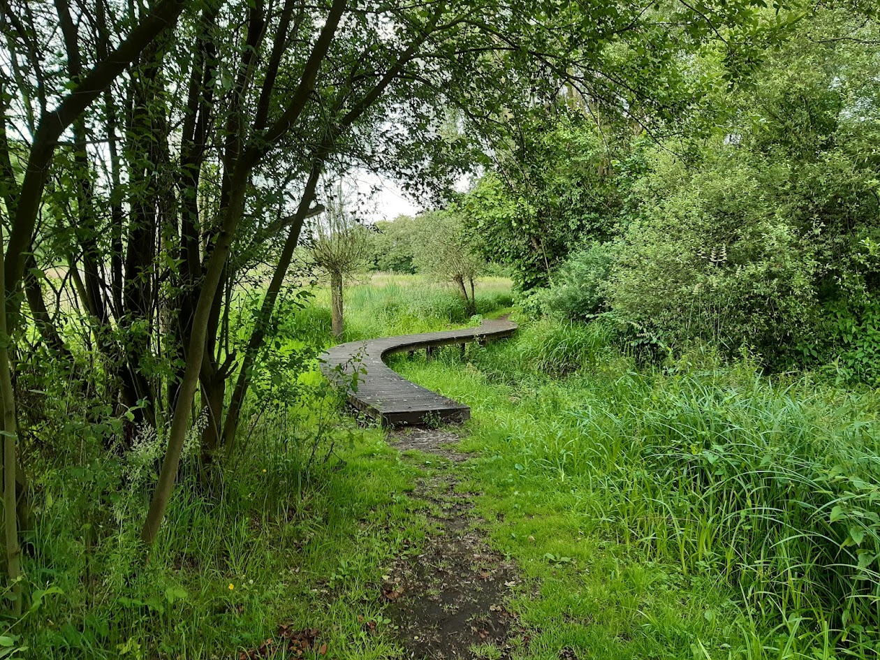 Ultra Trail Kempen - Belgische Kempen Landscape