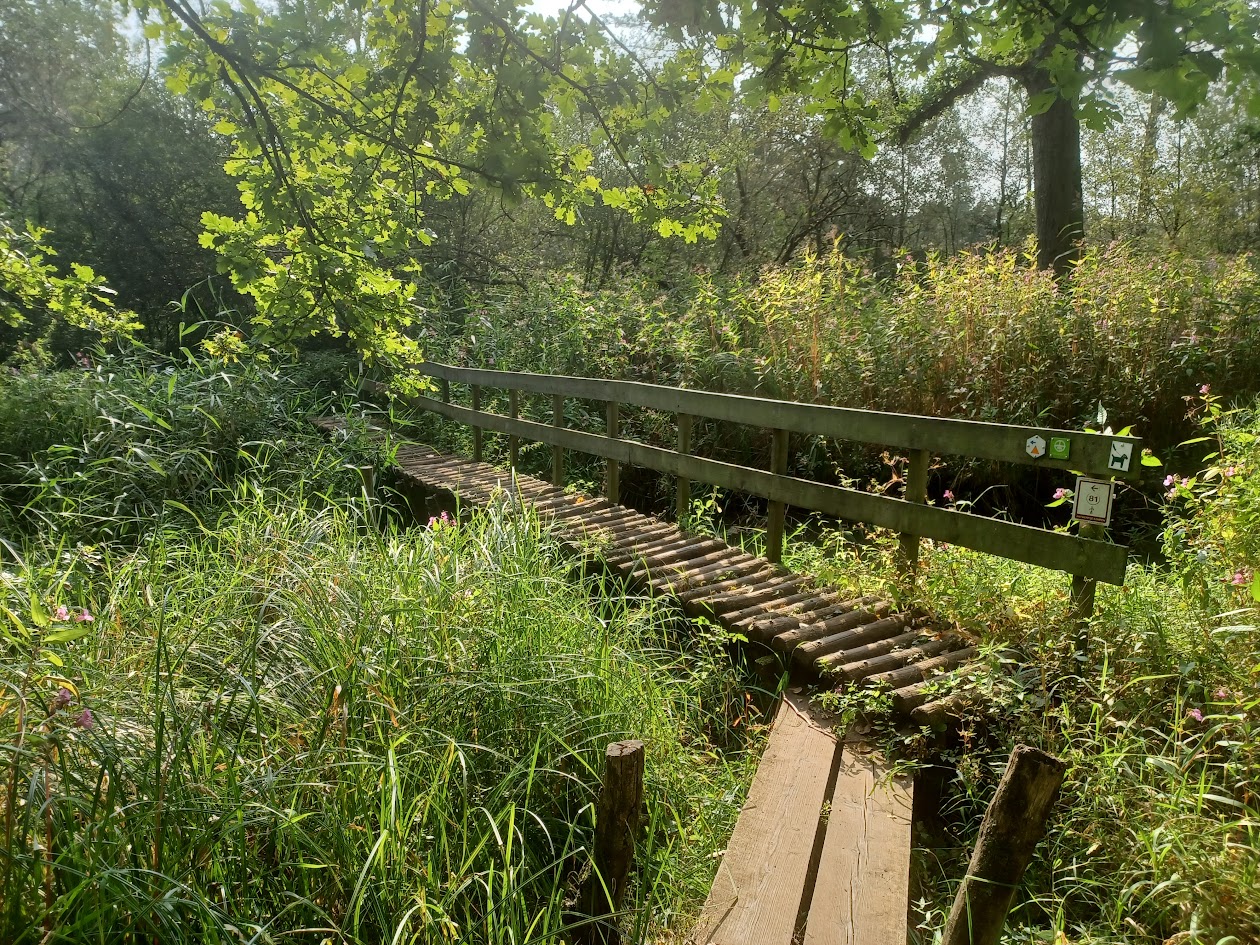 Kempense heidevlaktes en vennen